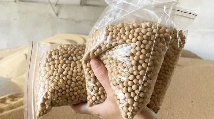 brazilian soybean suppliers